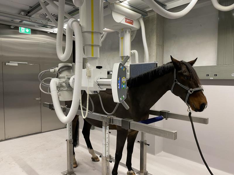 Stationary X-ray telescope system for equine health centers